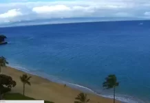 Royal Lahaina Beach Live Stream Cam Hawaii New