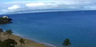 Royal Lahaina Beach Live Stream Cam Hawaii New