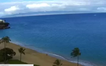Royal Lahaina Beach Live Stream Cam Hawaii New