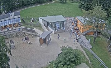 St corona am Wechsel Webcam - Sommerrodelbahn Coaster