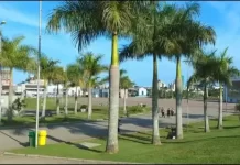 Brazil Park Of Nations Criciúma Live Stream Cam New