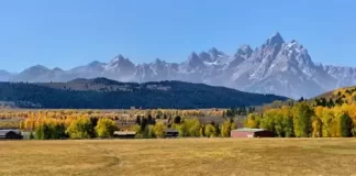 Wyoming Turpin Meadow Ranch Live Stream Cam New