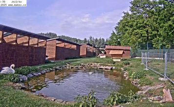 Animal Rescue Station Makov - Jezírko