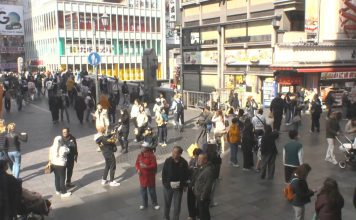 Dotonbori Area Of Osaka, Japan Live Webcam