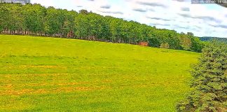 New Benezette, Pennsylvania Live Webcam