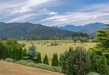 New Zealand Wairau Valley Area Hd Live Webcam