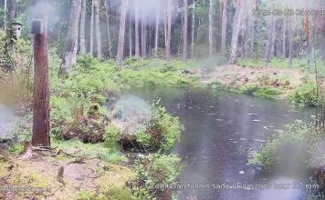 Nuuksio National Park Live Cam - Espoo, Finland | Hd Video