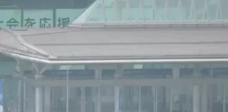New Odaiba-kaihinkoen Station Live Webcam