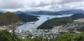 New Zealand Picton Foreshore Live Webcam