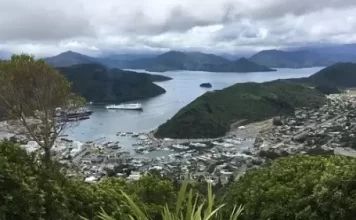 New Zealand Picton Foreshore Live Webcam