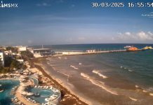 Playa Del Carmen Live Webcam in Mexico New Playa Del Carmen Beach Live Stream Cam In Mexico