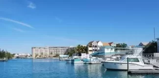 New Port Lucaya Marina Freeport, Grand Bahama Live Webcam