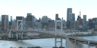 Tokyo Rainbow Bridge Camera | Live Hd Video