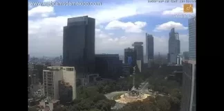 Paseo De La Reforma | Ángel De La Independencia