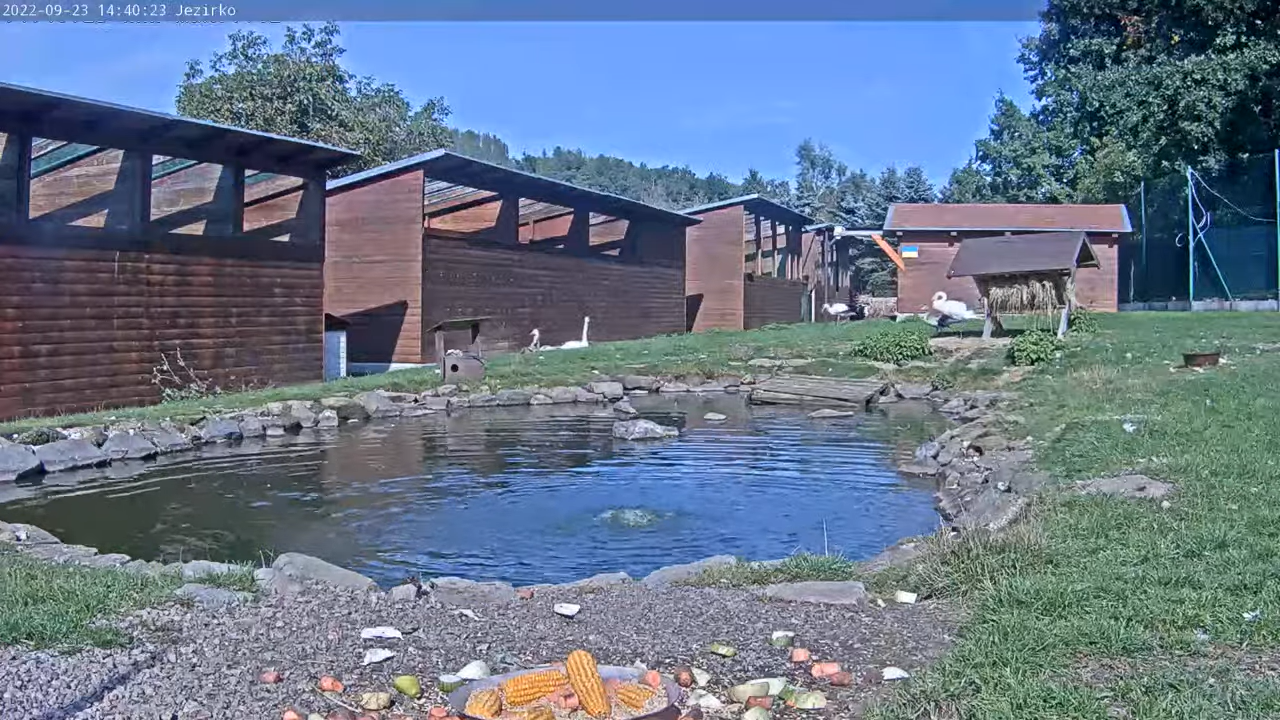 Animal Feed Live Webcam – Makov