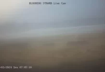 Table Mountain Live Webcam, South Africa