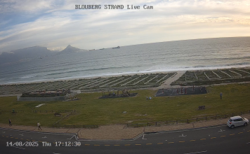 Table Mountain Live Webcam, South Africa - Video