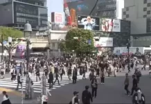 New Dotonbori Area Of Osaka, Japan Live Webcam