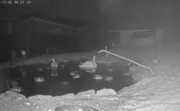 New Rescue Station In Makov Live Stream Cam