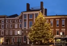 New Christmas Tree Portsmouth Market Square Live Stream Cam