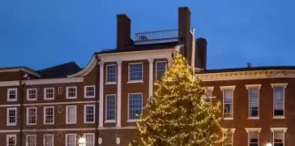 New Christmas Tree Portsmouth Market Square Live Stream Cam