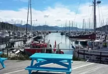 New Waikawa Boating Club Live Web Camera