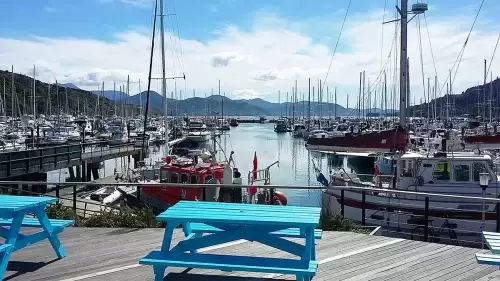 Waikawa Boating Club Live Web Camera – Marlborough, NZ