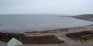 Kåsa Beach Live Webcam Varberg, Sweden