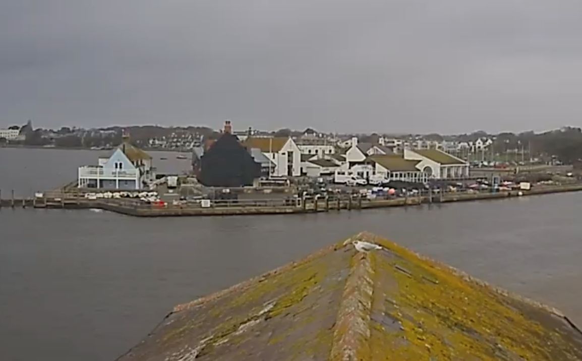 Live Cam Christchurch Harbor Entrance – The Run – England