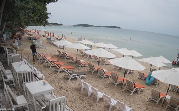 The Palms Bar And Grill Live Cam New Thailand