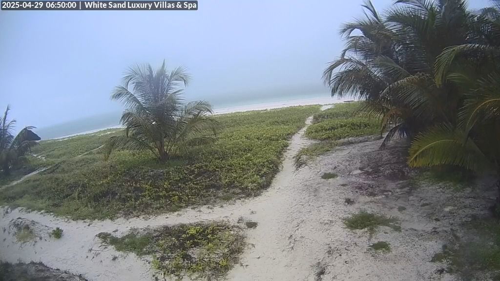 Paje Beach Live Webcam – Zanzibar, Tanzania