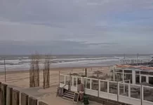 Strandpaviljoen Thalassa Beach Live Cam New In The Netherlands