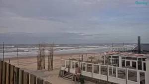 Strandpaviljoen Thalassa Beach Live Cam New In The Netherlands