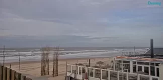 Strandpaviljoen Thalassa Beach Live Cam New In The Netherlands