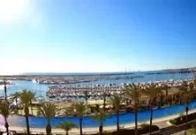 Webcam Torrevieja | Port In Alicante