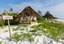 Paje Beach Villas Live Webcam New Tanzania