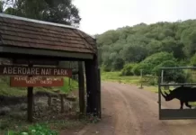 Aberdare National Park New Live Stream Cam In Kenya