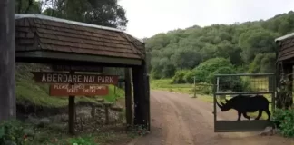 Aberdare National Park New Live Stream Cam In Kenya