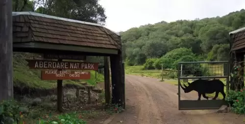 Aberdare National Park Live Webcam – Kenya