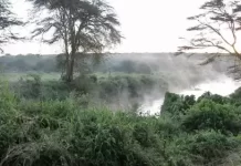 African River Wildlife New Live Stream Cam In Kenya
