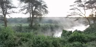 African River Wildlife New Live Stream Cam In Kenya