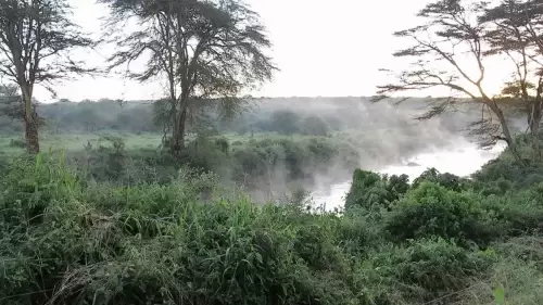 African River Wildlife – Live Cam, Kenya