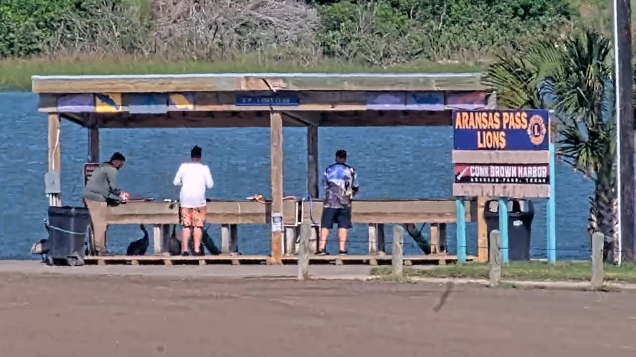 Aransas Pass, Texas HD Live Cam, Conn Brown Harbor
