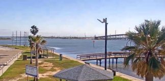 Aransas Pass, Texas Hd Live Cam, Conn Brown Harbor New