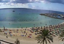 Webcam Mallorca | Multiple Hd Cameras | Live Hd Video