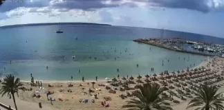 Webcam Mallorca | Multiple Hd Cameras