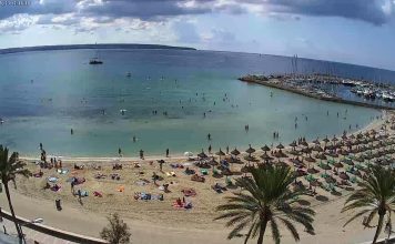 Webcam Mallorca | Multiple Hd Cameras | Live Hd Video