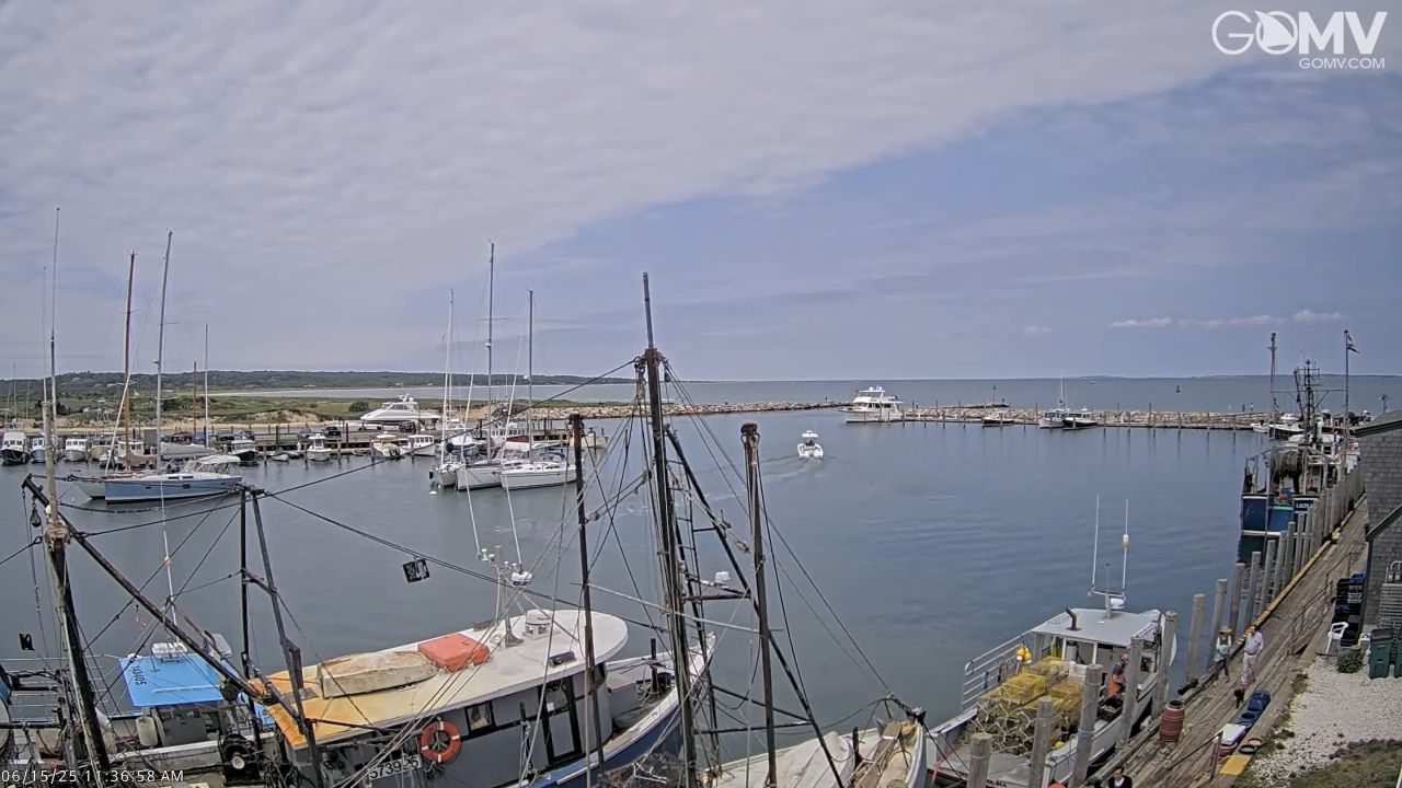 Live Webcam Menemsha Harbor – Martha’s Vineyard, MA