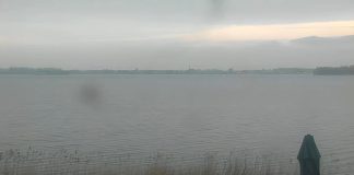 Strand Horst Beach Live Webcam Netherlands