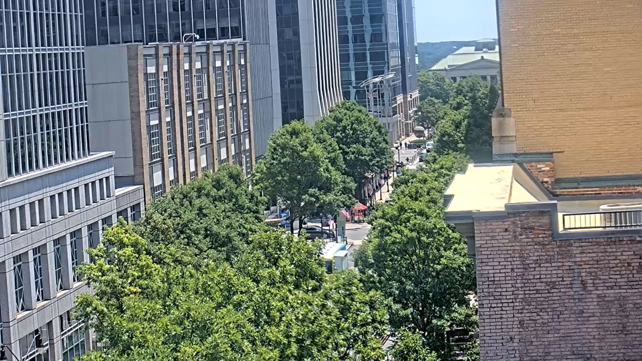 Raleigh Downtown City Plaza, Fayetteville St Live Cam